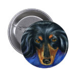 Dachshund Dog Breed Art - Hallie Button