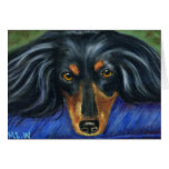 Dachshund Dog Breed Art - Hallie Cards