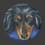 Dachshund Dog Breed Art - Hallie Fridge Magnets