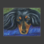 Dachshund Dog Breed Art - Hallie Post Cards