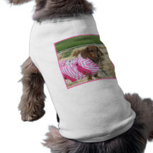 Dachshund dog doggie tee shirt