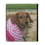Dachshund dog iPad case