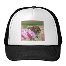 Dachshund dog mesh hat