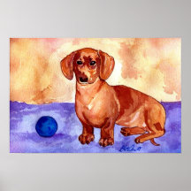 Dachshund Dog Portrait Poster