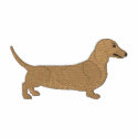 Dachshund embroidered shirts