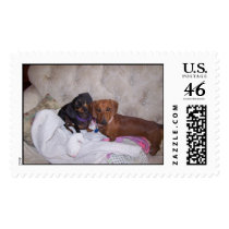 dachshund friends postage