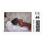 dachshund friends postage