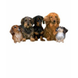 Dachshund Gang Ladies T-Shirt