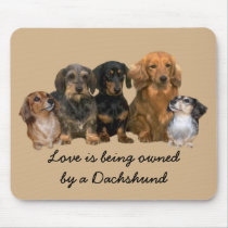 Dachshund Gang Mousepad