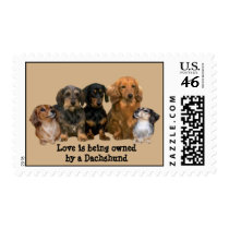 Dachshund Gang Postage Stamp