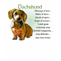 Dachshund Gifts Doxie Lovers Apparel t-shirts