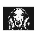 Dachshund-Geschenke - Postkarte postkarten