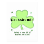 Dachshund Heaven on Earth Postcard