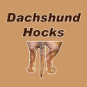 Dachshund Hocks magnet magnet