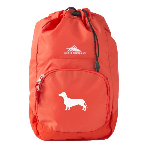 best hiking backpack for dachshund