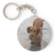 Dachshund Keychain