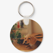 Dachshund keychains by PawsandClaws Dachshund keychains