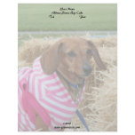 Dachshund Letterhead
