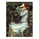 Dachshund (LH-BT) - Ophelia 2 Postcard
