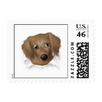 Dachshund (Long Hair) Busting Out - Customized postage by cartoondogs Dachshund (Long Hair) Busting Out - Customized postage