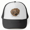 Dachshund (Long Hair) Busting Out hat