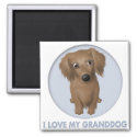 Dachshund (Long-Hair) Granddog magnet