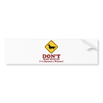 Dachshund Longhaired bumper stickers by Pawdboy Dachshund Longhaired bumper stickers