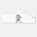 Dachshund Longhaired Bumper Sticker