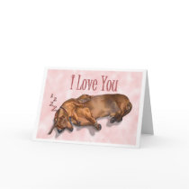 Dachshund Love cards