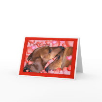 Dachshund Love - Valentines Day cards by relativeperceptions Dachshund Love - Valentines Day cards