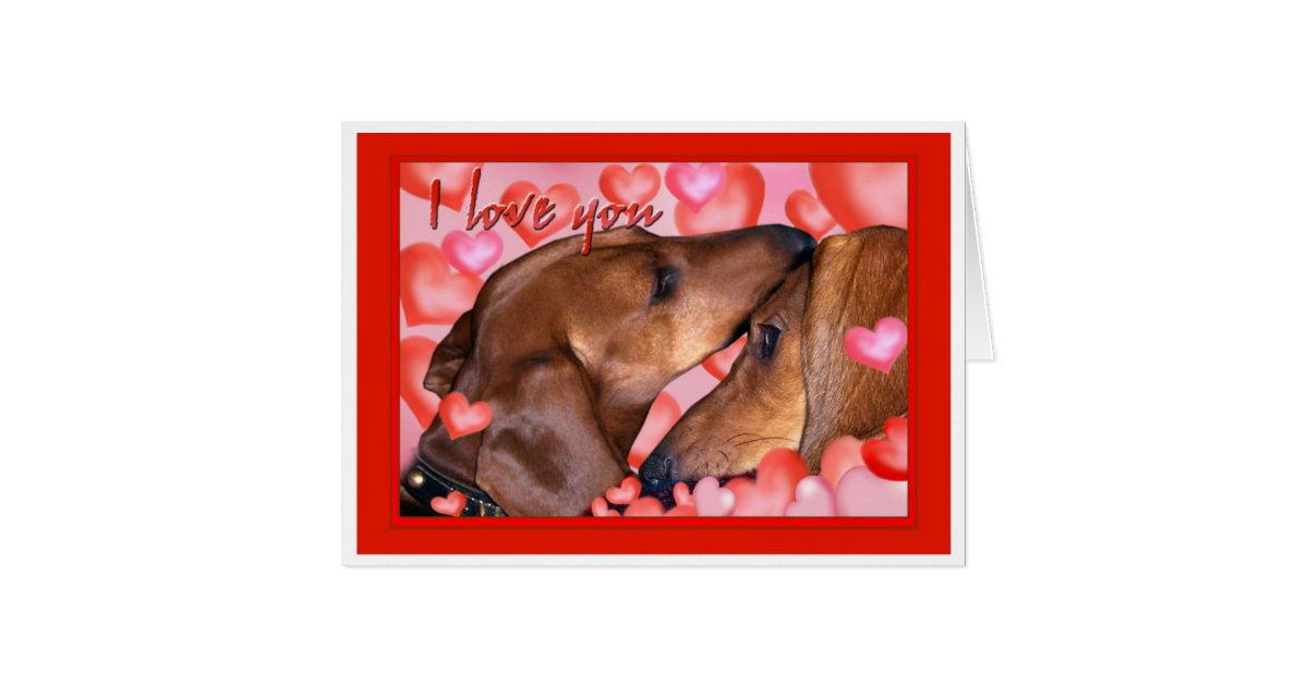 Dachshund Love - Valentines Day Card | Zazzle