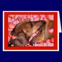 Dachshund Love - Valentines Day cards