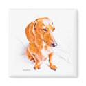 Dachshund Magnet
