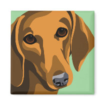 Dachshund Magnets magnets
