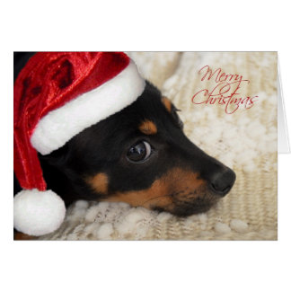 Dachshund Gifts on Zazzle