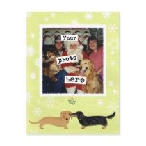 Dachshund Mistletoe Kiss Photo Template postcards