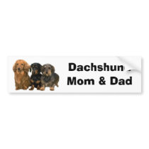 Dachshund Mom & Dad Bumper Sticker bumper stickers by normagolden Dachshund Mom & Dad Bumper Sticker bumper stickers
