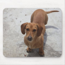 Dachshund Mouse Pad
