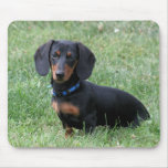 Dachshund Mousepad