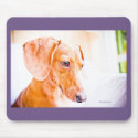 Dachshund Mousepad
