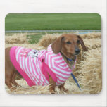 Dachshund mousepad