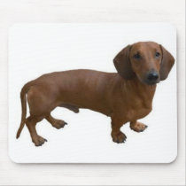 Dachshund Mousepad mousepads