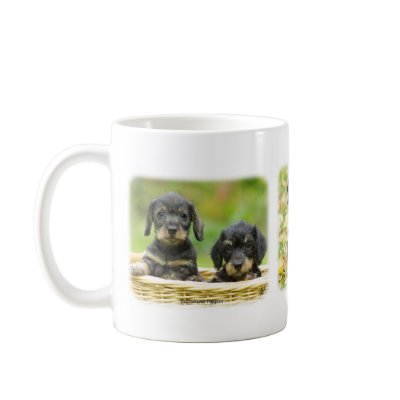 Dachshund Mug by TraffordPhotos