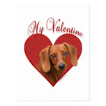 Dachshund My Valentine Post Cards