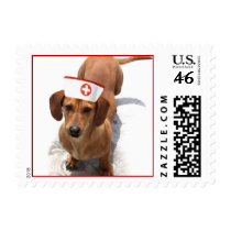 Dachshund nurse stamps