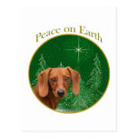 Dachshund Peace on Earth Post Card