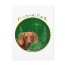 Dachshund Peace on Earth postcards