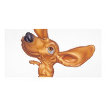 dachshund photo cards by thrillpictures dachshund photo cards
