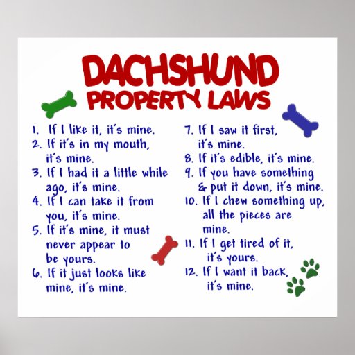 DACHSHUND PL2 POSTERS