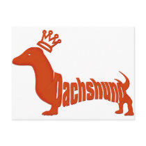 Dachshund Post Card
